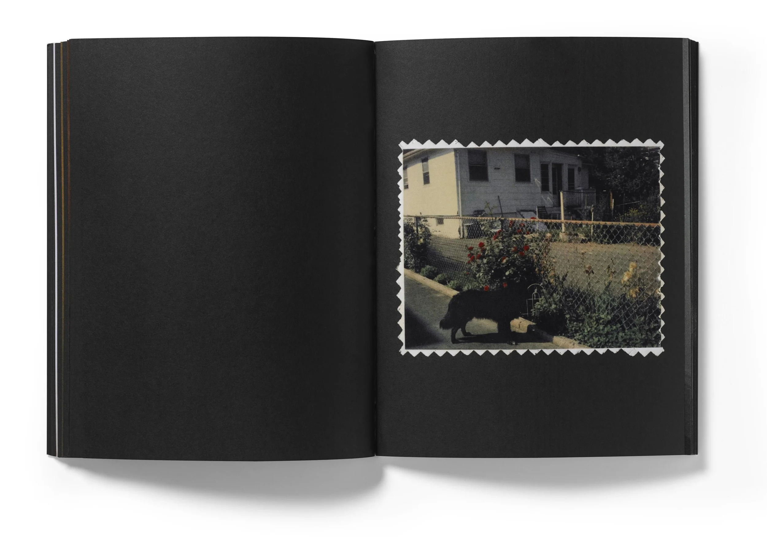 In Almost Every Picture #7 更新版 all+19+iaep.jpg?format=1500w